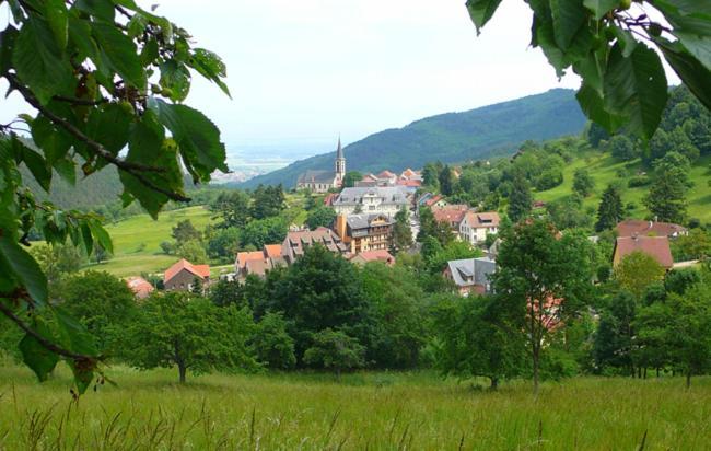 Hotel Du Haut Koenigsbourg- Entre Vignes Et Chateau Thannenkirch Bagian luar foto
