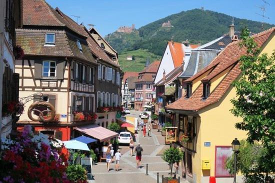 Hotel Du Haut Koenigsbourg- Entre Vignes Et Chateau Thannenkirch Bagian luar foto
